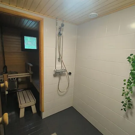 Arctic Aurora Lejlighed Rovaniemi