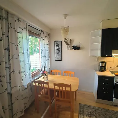 Arctic Aurora Rovaniemi