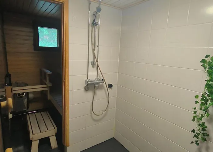 Arctic Aurora Lejlighed Rovaniemi